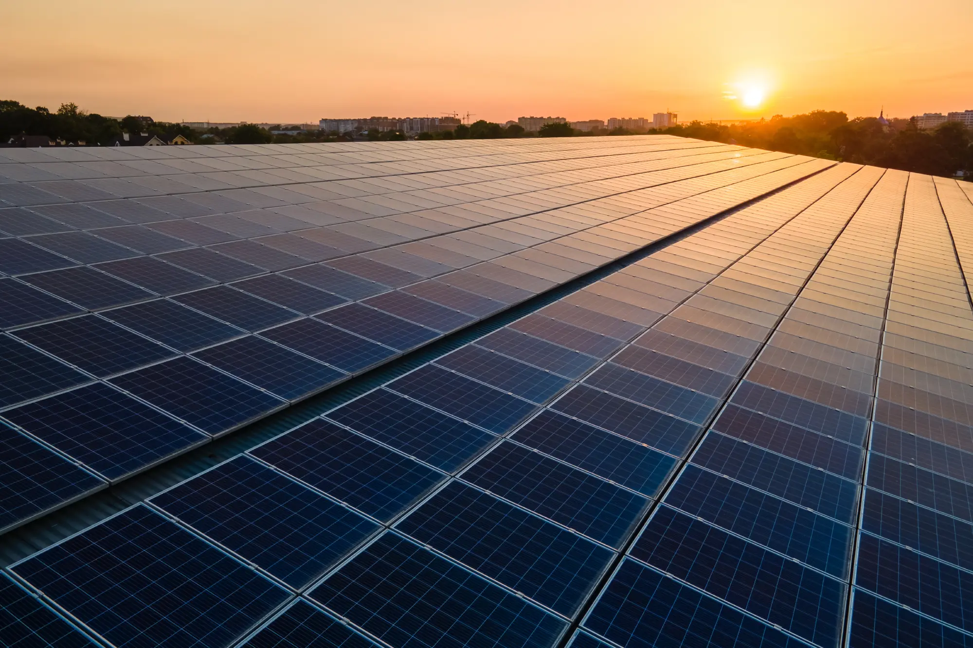 Professional Solar Roof Cleaning